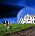 Housing Collage
